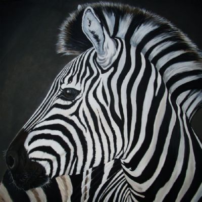 zara the zebra